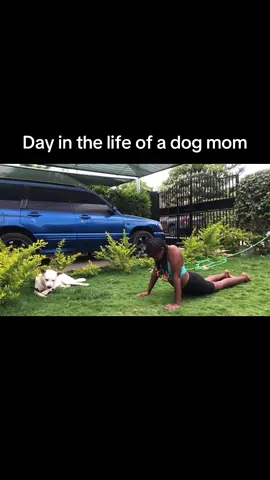 #dogsofttiktok #dogmom 