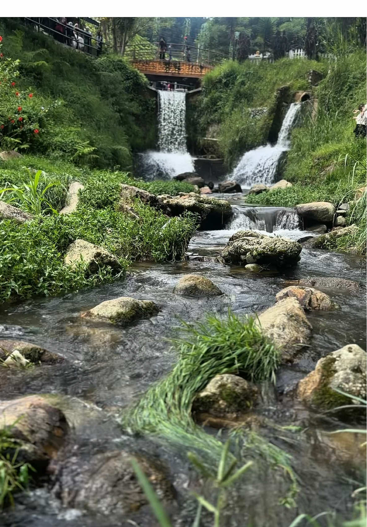 “Tenang itu bila angin sejuk menyapa, dan hijau jadi ubat mata.” #cameronvalley #cameronhighlands #cameron #triptocameronhighland #tourismmalaysia 