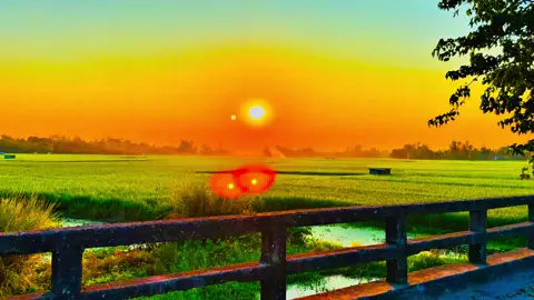 মানুষ দূরেই ছিলো আমি শুধু কছের ভাবতাম..... 😅❤️‍🩹🌿#প্রকৃতি #anfeezemyaccont #sky #greenscreen #viral_video_tiktok 