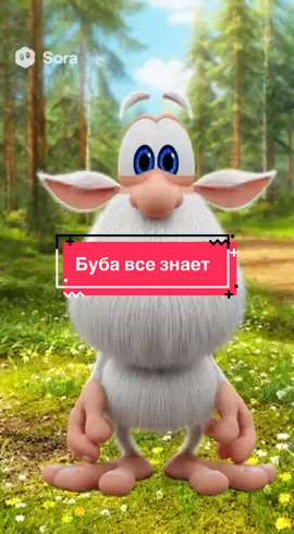 Буба все знает #буба #sora #рекомендации #fyp #мем 