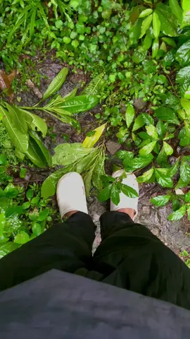 #aceh #peukanbiluy #airterjun 