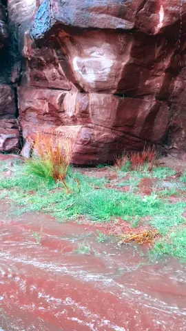 #مقناص #شمال #الشتاء🎻🎼 #الزيته #علقان #حايل_بعد_حيي💕 