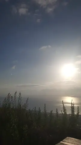 #foryou #fyp #🤎#status 