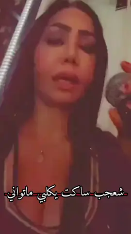 #شعجب_ساكت_يكلبي_ماتواني #زينه_البغدادي_موال_حزين #فيديوهاتي_تصاميمي🎶🎬 #مشاهير_العراق #مشاهير 