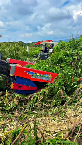 #รอหน่อยนะติดเครือนิดเดียวเอง😂แป๊บเดียวไม่นาน🤣🌿