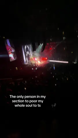 #fyp #laufey #laufeytour #amot 