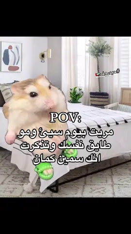 #حيدروف🇦🇪 