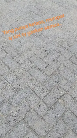 merapat sj kesini.... 