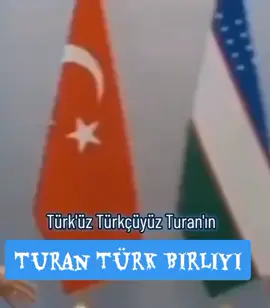 #creatorsearchinsights 