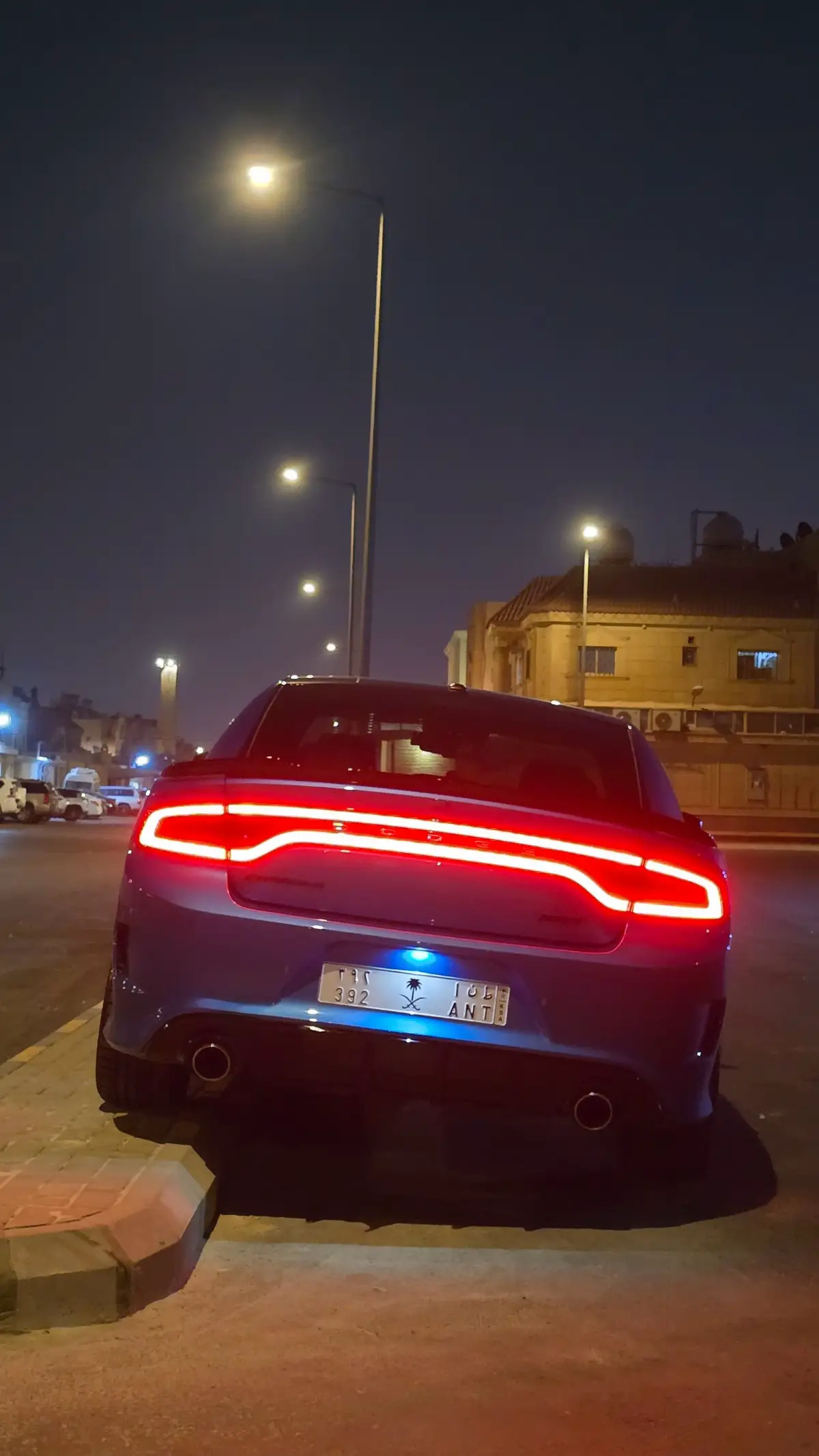 ميل عقالك يا بعدي  معروف وديارك جدي  شمر هلك يا مسندي  شمر هلك تاج الفخر شمر نجوم بالسما يشوفها حتى العما الذيب عنده له عشا  ما همها ميل الدهر  #الطنايا #شمر #تشارجر  #fyp #foryou 