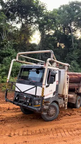 #sarpatim #kayulapisindonesia #logingkalimantan 