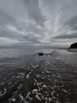 Tot nhat nen co don…