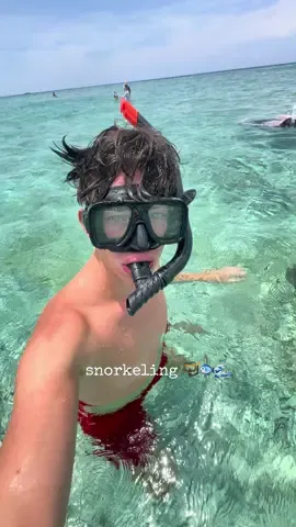 geht schnorcheln 🐟🌊🤿               #ocean #snorkeling #gilitrawangan #blue #turtle 