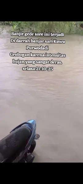 Banjir gede sore ini terjadi  Di daerah banjar sari Kuwu Purwodadi  Grobogan karena intensitas hujan yang sangat deras.  selasa 21-10-25  #banjirbandang   #videoviral  #berandatiktok   #indogrobogan   #fyp 