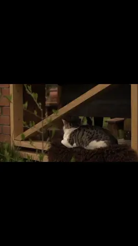 #دعاء_الجوشن_الكبير 🤎✨