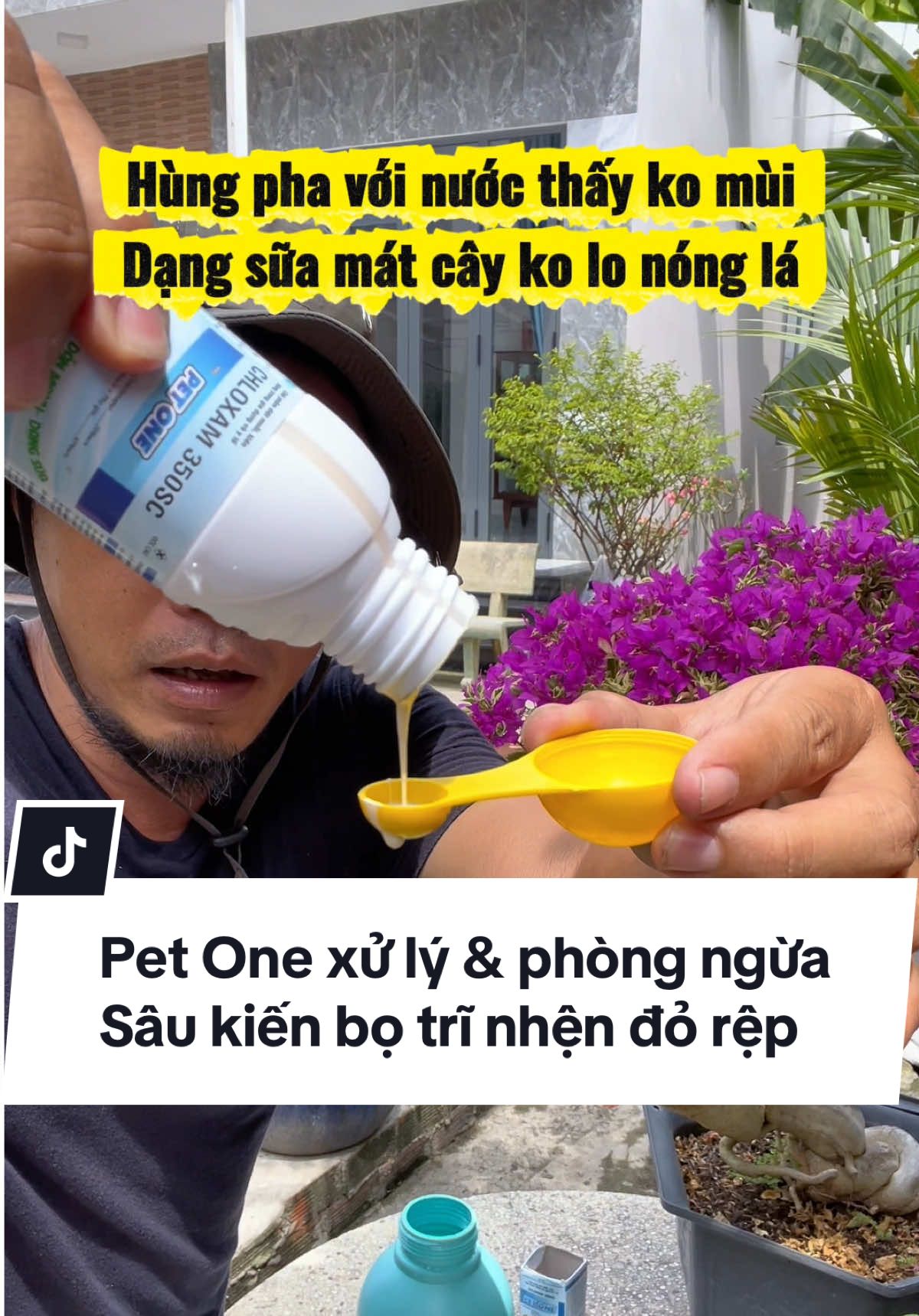 Trả lời @Mẹ Lyon chia sẻ cách nhìn dấu hiệu để phòng ngừa & xử lý sớm để cây cóc tránh bị xoắn đọt , anh chị tham khảo cách này thử nhé #hungraushop #kiến #bọtrĩ #sâu #vườnnhà 