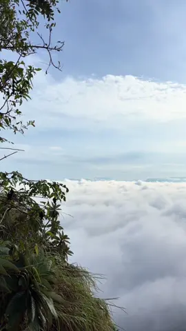 track naik turun licin membajak pun kita bantai demi awan carpet 🥹 @jeriboi | j.ventures⛰️ - 20/10/2025 #Hiking #gunungsenyum 