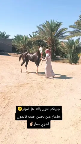 #شعب_الصيني_ماله_حل #CapCut 