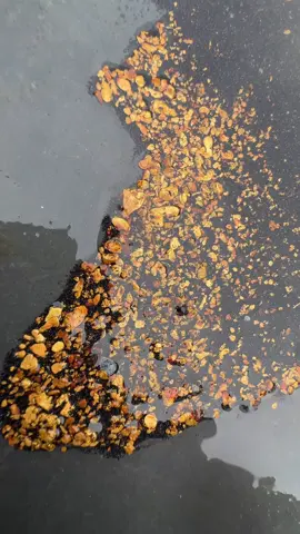 Original gold mining 