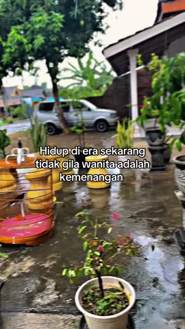 #storykicaumania #muraibatu #cucakijo #cendet 