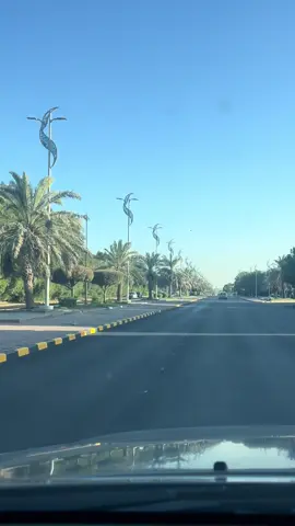 #kuwait🇰🇼 #আল্লাহ #bangladesh🇧🇩 