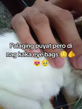 #fyp #fypviralシ #fypage 