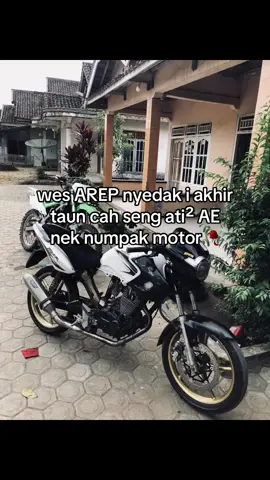 #maongank #tigermaoon #pcgank🔥 #tigerbelitang #fotolive 