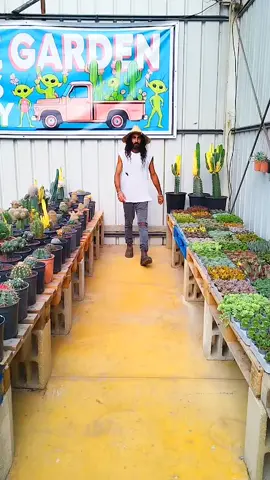 סוקולנטים נדירים ב־6 ש״ח בלבד! 🤯🪴✨ מחקו אותנו מכל הקבוצות בפייסבוק 🤯😂 כנראה שמישהו לא רוצה שתראו את זה 😅 ⏰ שישי הקרוב 24/10 | 9:00-14:00, ביריד הקקטוסים הגדול ביותר שהיה בישראל 🌵🤠 צמחים נדירים מכל העולם, אווירה מטורפת ומבצעים שאסור לפספס 🌏✨ משתלת הום גארדן 📍בוויז - דור אלון גאליה - בואו מוקדם לבחור ראשונים! 💞🌱 תתייגו חברים שאוהבים קקטוסים וסוקולנטים 🌵👇 פרטים נוספים בתגובות 🌸🛸