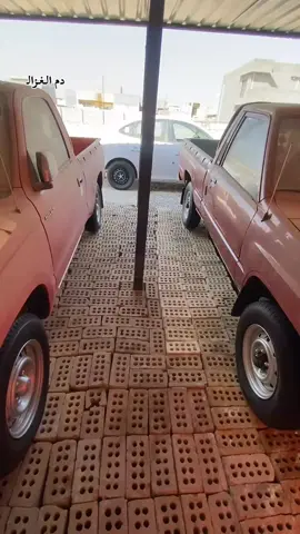 #اشكك_دفتره_الماينصف_اشجعان #غليص_ولد_رماح 