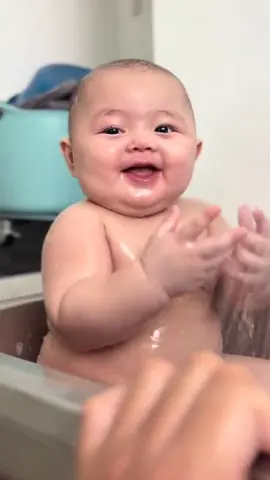 #babygemoy #gibrancomel 