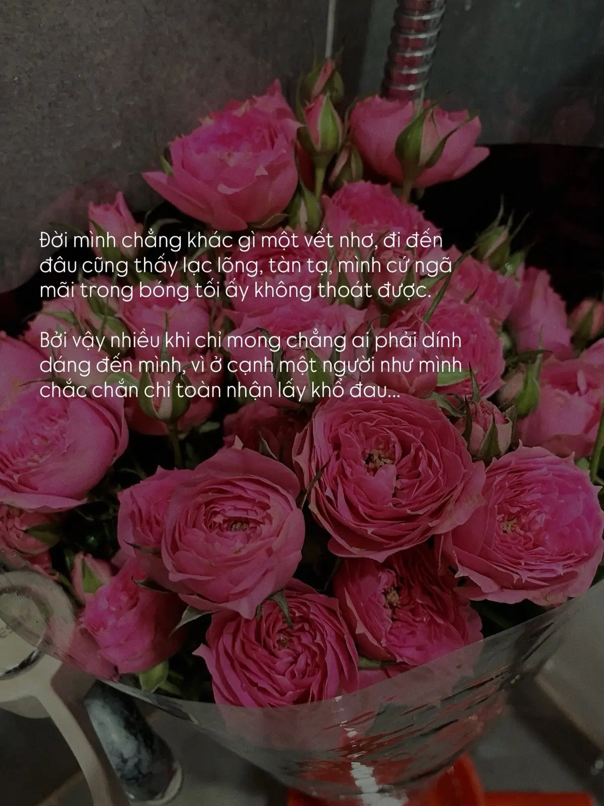 Đời mình chẳng khác gì một vết nhơ, đi đến  đâu cũng thấy lạc lõng, tàn tạ, mình cứ ngã mãi trong bóng tối ấy không thoát được.  Bởi vậy nhiều khi chỉ mong chẳng ai phải dính dáng đến mình, vì ở cạnh một người như mình chắc chắn chỉ toàn nhận lấy khổ đau... #xhhhhhhhhhhhhhhhhhhhhhhh 