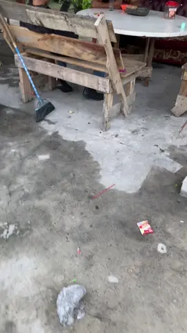 Review pelam #fyppppppppppppppppppppppp 