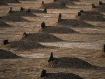 🤷#For #Viral #FreePashtoon #FreePalestain #MrShinwari60 