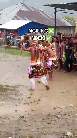 Taang pake ndeki agu agang🔥 CACI NATAS CARANG#cacimanggarai👍 #fyp 