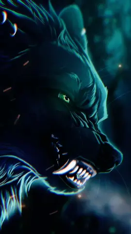 #волк💜💜💜 #ценисейчас🖤🖤🖤 