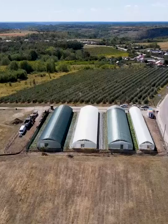 SATUL MEU MĂDULARI - 2 noiembrie #agricultură #emisiuniTVRCraiova #Satulmeu #Mădulari #Vâlcea