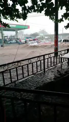 #Flood2025 #FloodVideo #NaturePower #DisasterVideo #HeavyRain 