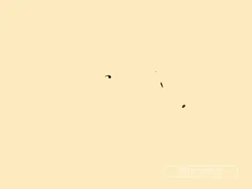 please don't let this flop || #Suegiku  #suegikubsd #fyp #xyzbca #bungoustraydogs 