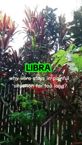#libra 
