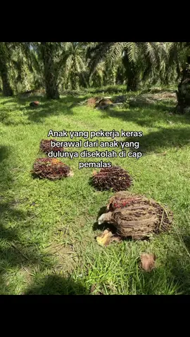 #pekerjakeras #anakpetanisawit #sawitontiktok #lewatberandafyp #sawitbalap 