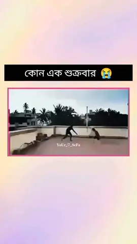 আল্লাহ সবাইকে হেদায়েত দান করুক আমিন.. 😭😭#fypシ゚viral #creatorsearchinsights #trend @TikTok @TikTok Bangladesh 