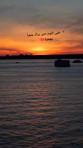 #مساء_الخير_للجميع___ #عباره_تناسب_الڤيديو_🎥🎞️ #عباره_جميلة🦋💙 #متابعه_ولايك_واكسبلور_فضلا_ليس_امر 
