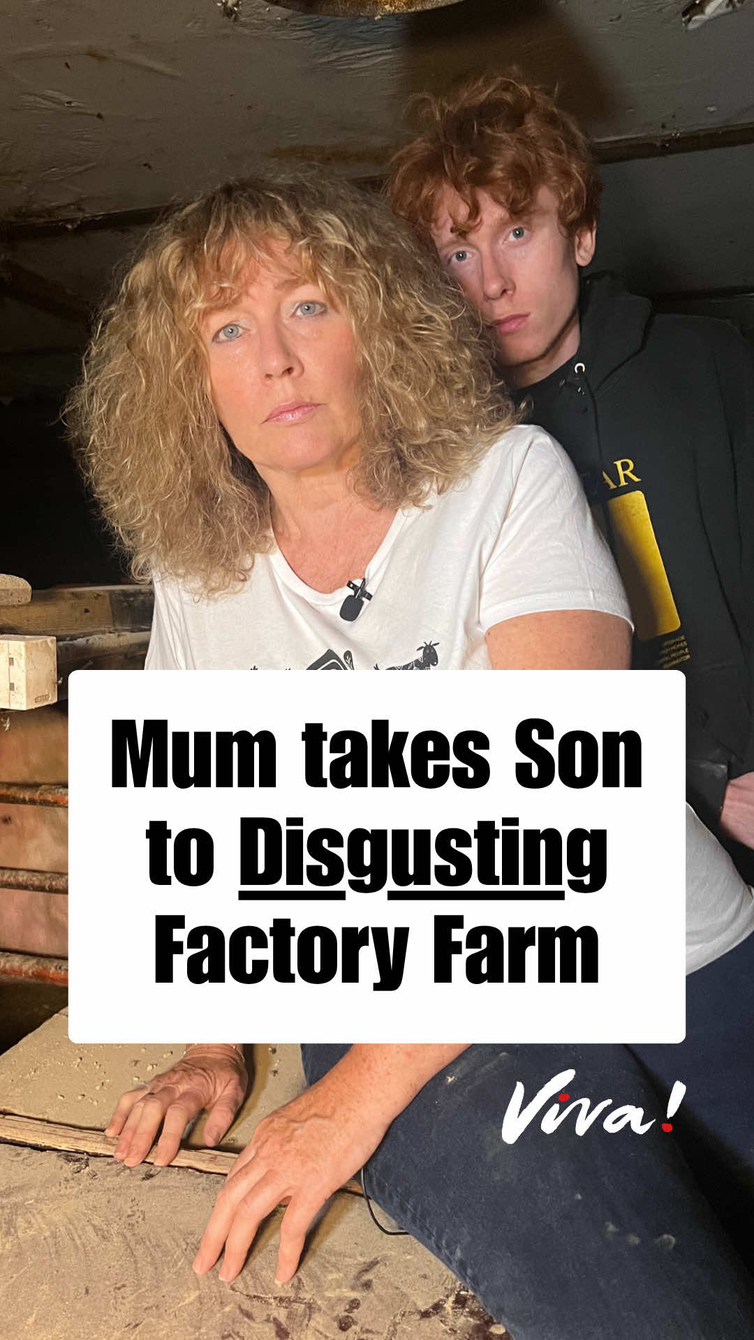❗ Mother takes Son to Pig Farm for the First Time 