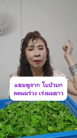 🌿✨ ผมร่วงเยอะ แค่หวีเบา ๆ ก็กลัวหลุดเป็นกำ? ถึงเวลาฟื้นรากผมด้วย “พลังใบบัวบกธรรมชาติ” 💚 เพราะใบบัวบกอุดมด้วย Asiaticoside และ Madecassoside ช่วยกระตุ้นการทำงานของ “เซลล์เดอร์มาลปาปิลา” 👉 เซลล์สำคัญที่คุมวงจรชีวิตเส้นผมให้แข็งแรงและงอกใหม่เร็วขึ้น ผลลัพธ์ที่คุณสัมผัสได้ ✅ ผมร่วงน้อยลงภายในไม่กี่สัปดาห์ ✅ รากผมแข็งแรงขึ้น ✅ ผมใหม่งอกไว ดูหนานุ่มสุขภาพดี ให้ธรรมชาติดูแลตั้งแต่ “รากผมถึงปลายผม” ค่ะ #สมุนไพร #ผมร่วง #แชมพูลดผมร่วง #ลดผมร่วง #ใบบัวบก 