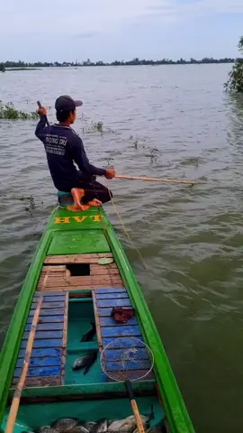 32f tu khối nha anh em