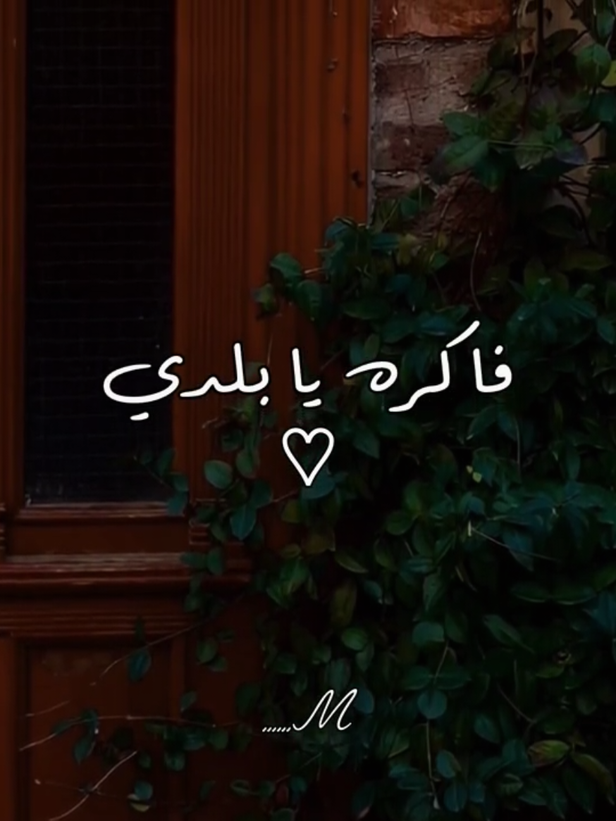 #fyp #fypシ #foryou #داليدا  🖤