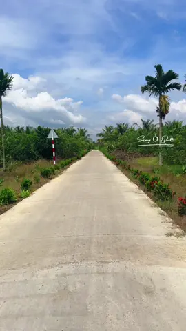 Cống Âu Thuyền Rạch Mọp ,#sóc_trăng #cảnhđẹp #chillchill #kêsách_sóctrăng #sangởquê 