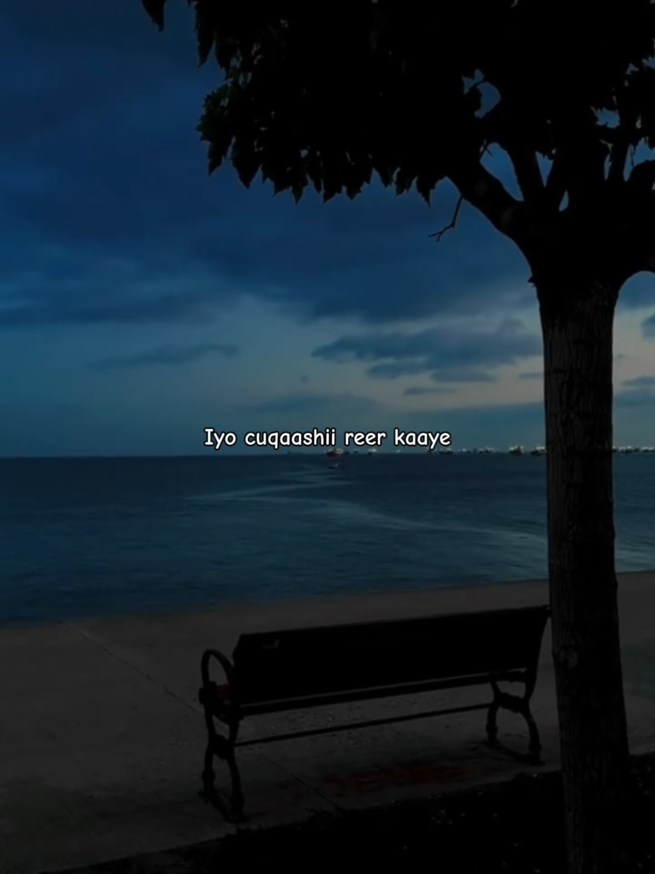 waa geesi dhaba 🦁🔥🎵#lyrics_songs #🌱ozil406🍂 #somalimusic 