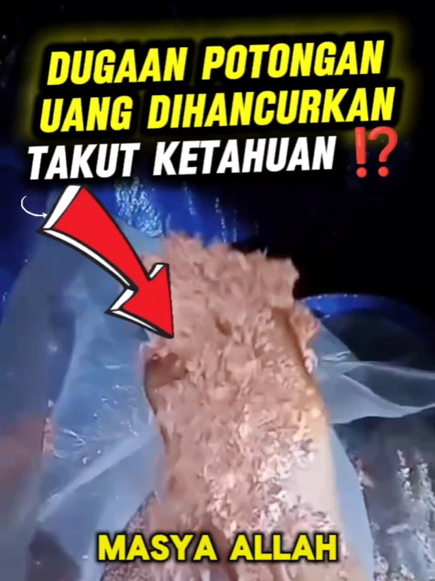 Dugaan Potongan Uang Dihancurkan Takut Ketahuan ⁉️ Belum Ada Informasi Yang Jelas Tentang Video Ini Namun Kalau BI YANG Hancurkan Logikanya Apakah Di Buang Sembarang? Sumber: oma_beope_rose - Threads #uang #fyp #viral #viralindonesia #uangtiktok 