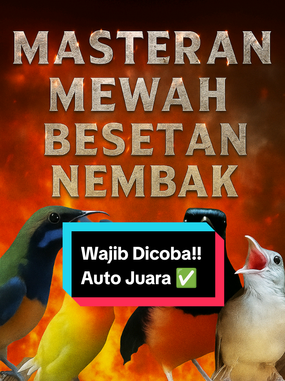 Masteran burung juara, besetan dan tembakan mewah #masteranburung #masteranburungjuara #masteranmuraibatu #petbird #burungkicau 